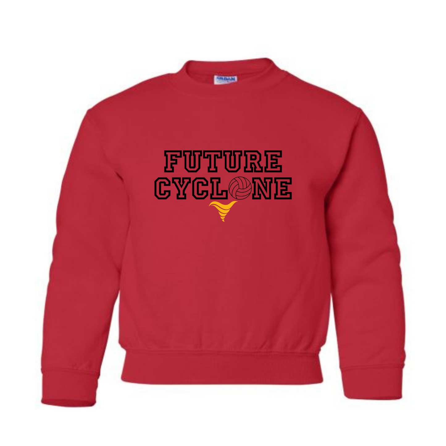 Future Cyclone Crewneck