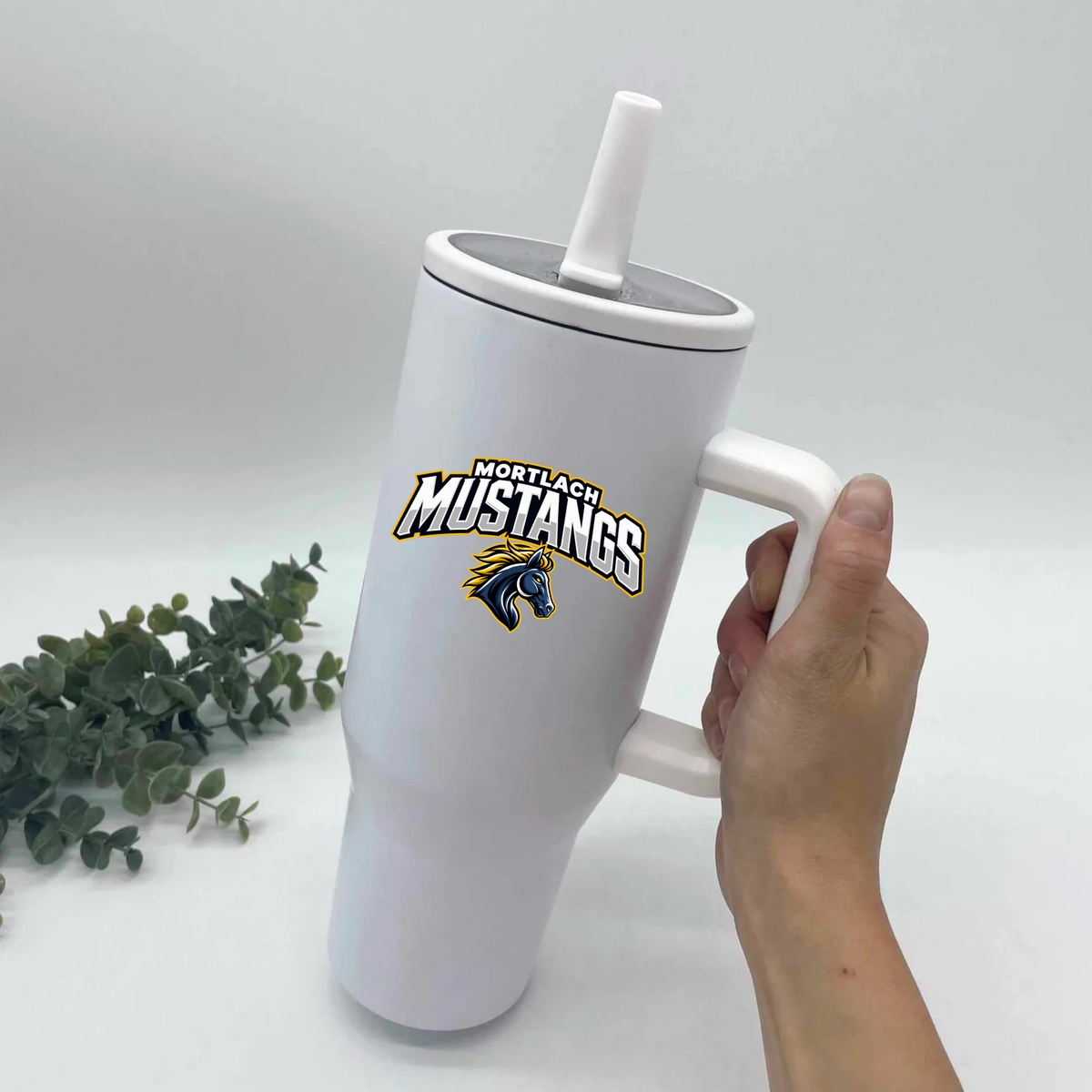 Mustangs Waterbottles