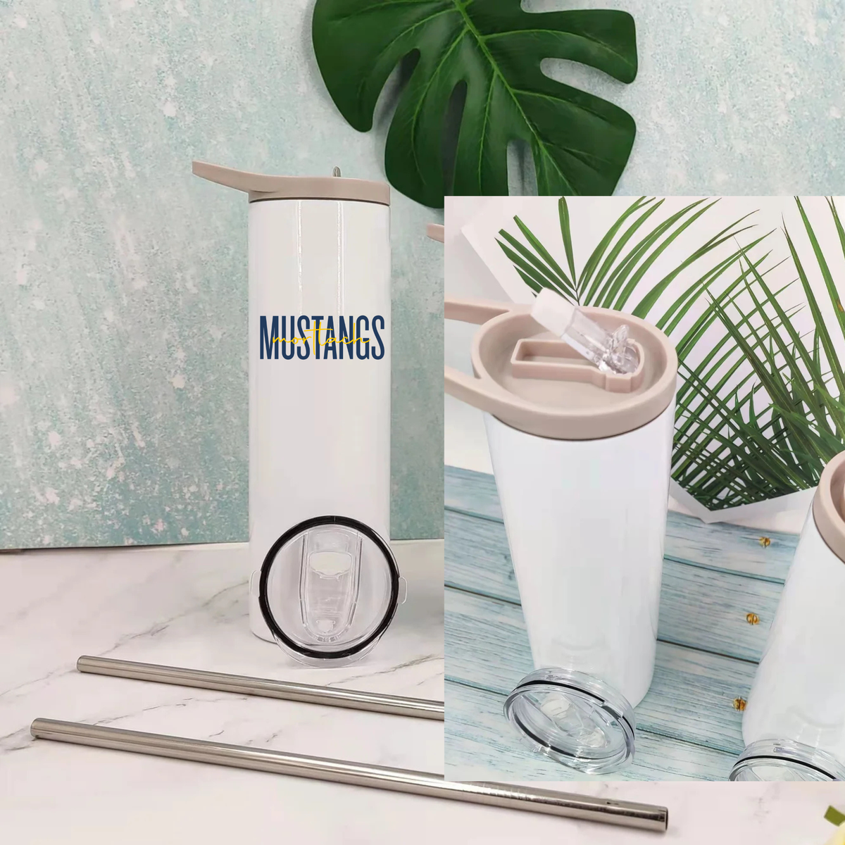 Mustangs Waterbottles