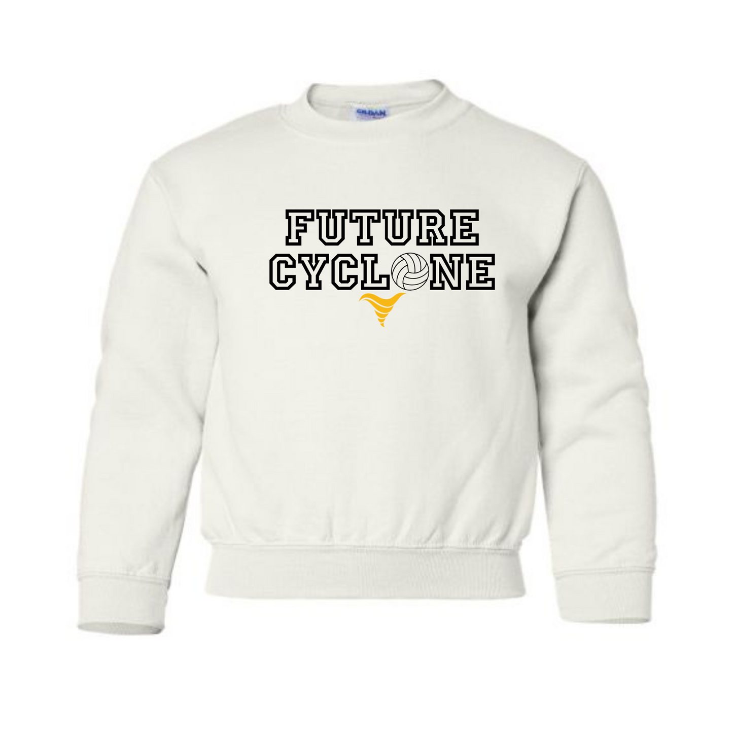 Future Cyclone Crewneck