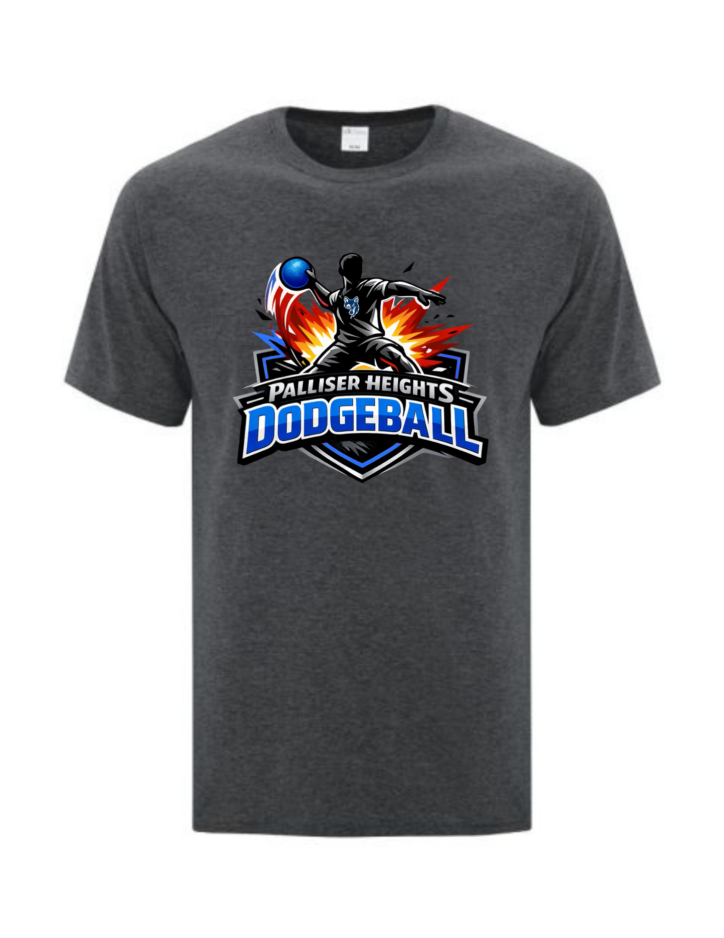 Palliser Heights Dodgeball