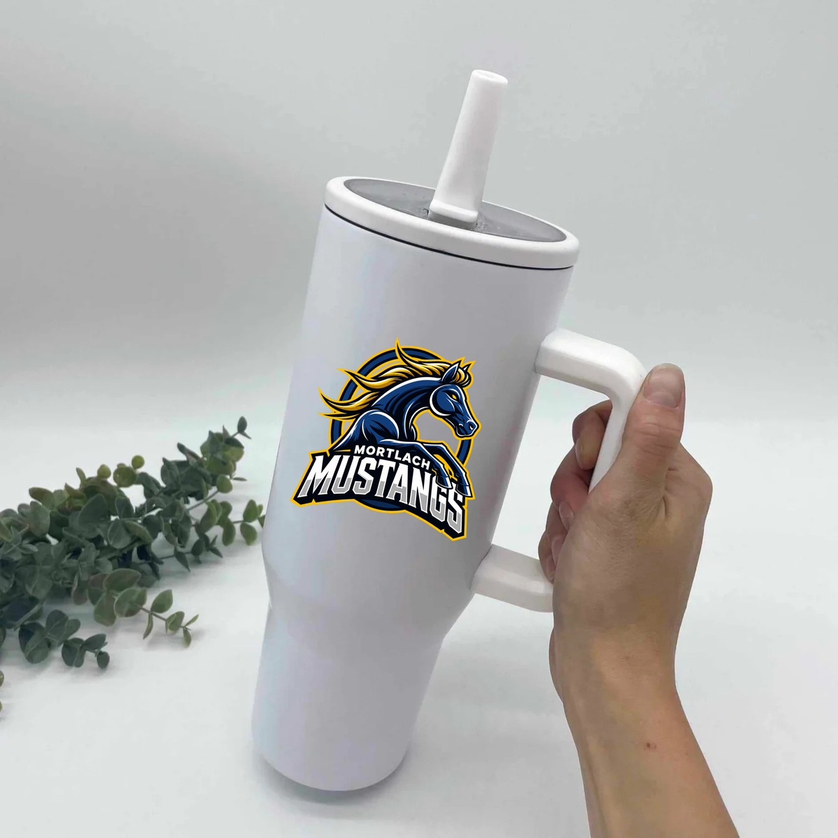 Mustangs Waterbottles