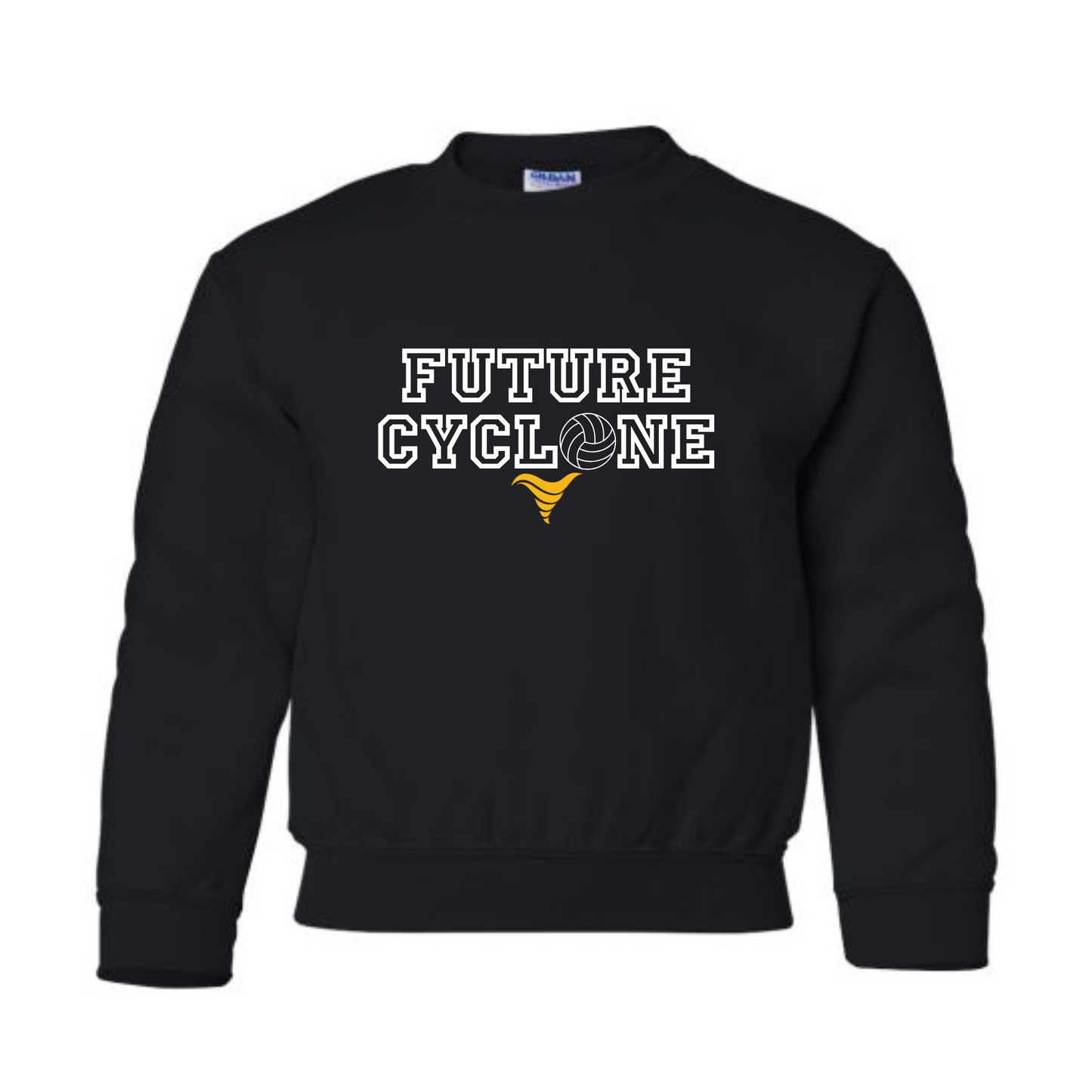 Future Cyclone Crewneck