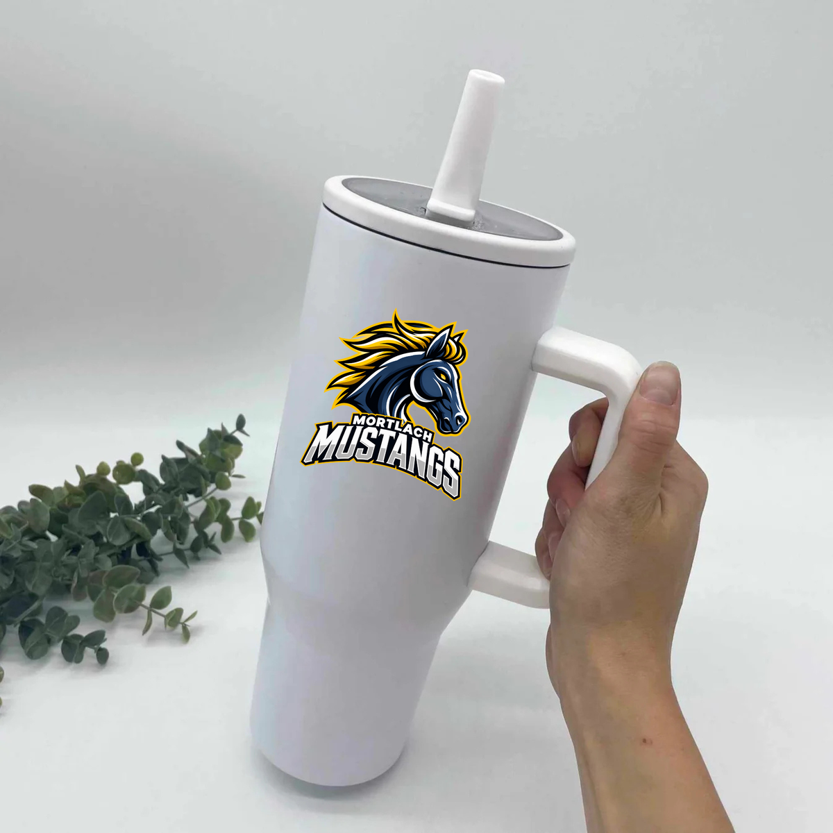 Mustangs Waterbottles
